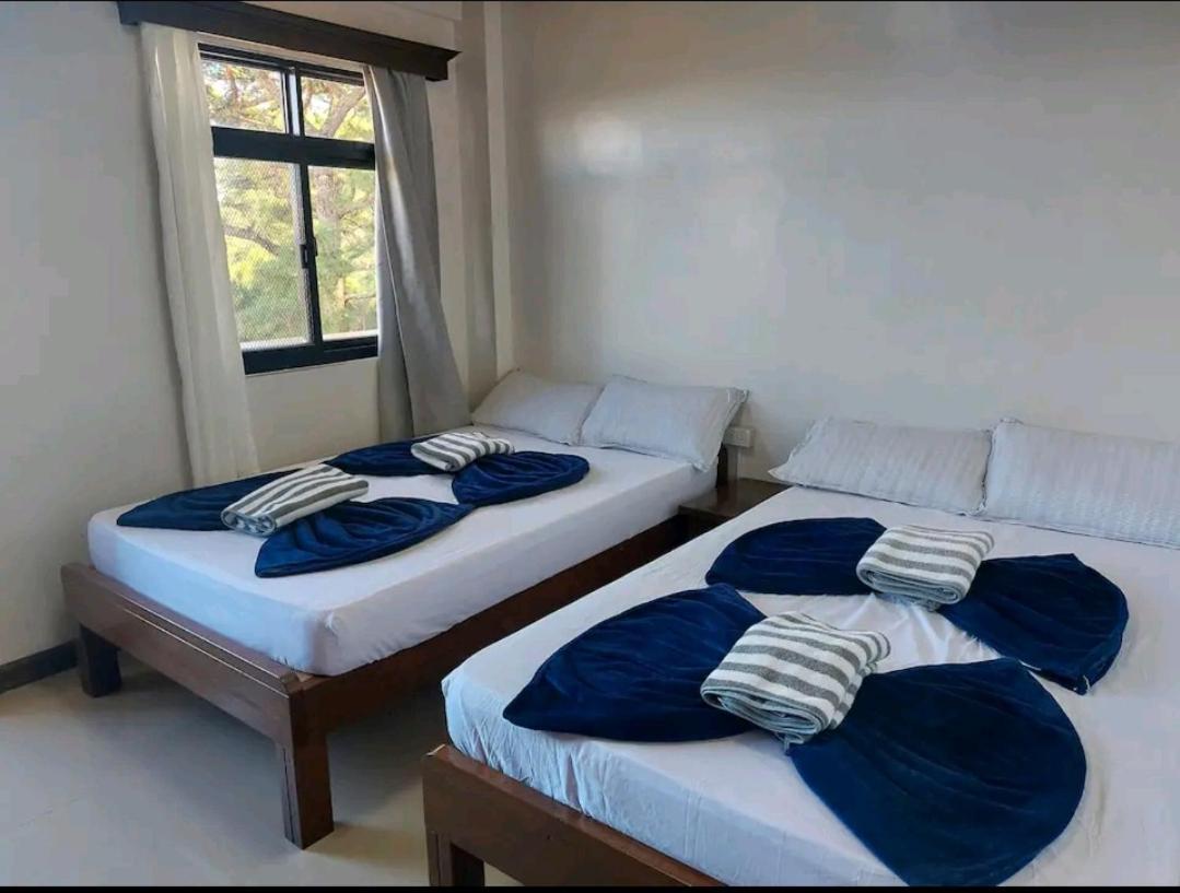 Haven Haus With Mountain View Apartment Baguio City Ngoại thất bức ảnh